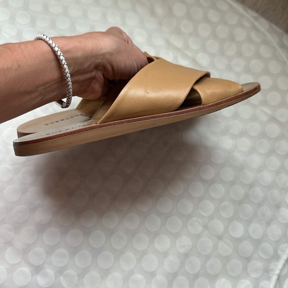 🎗️ Everlane  🎗️ The Day Crossover Sandal LIGHT TAUPE 7.5 - Picture 7 of 11